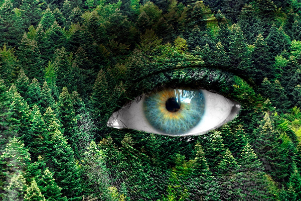 Green Man1 (28 × 17 in) – 1